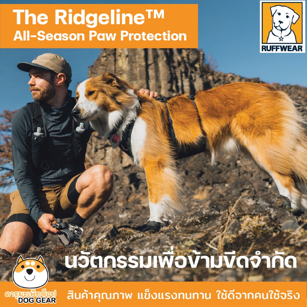 🛡️NEW Ruffwear The Ridgeline™ Collection Harness, Collar, Leash, Shoes