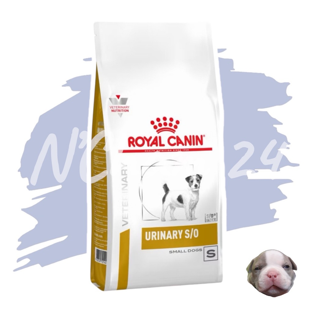 Royal Canin Urinary S/O Small Dog ขนาด 1.5 กิโลกรัม อาหารสุนัขพันธุ์เล็ก โรคนิ่ว