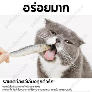 ขนมแมว ปลาแมว ขนมหมา โปรตีนสูง ไม่เค็ม ขนาด ปลอดภัยต่อไต สดใหม่ทุกวัน ไม่ใส่สารกันเสีย สุนัขก็ชอบทาน