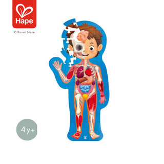 Hape Human Body Puzzle	จิ๊กซอว์ อะไรในร่างกายหนู ยาว 1m เท่าขนาดคน	4Y+ รูปที่ 7