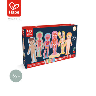 HAPE Human Body Magnetic Puzzle أحجية جسم الإنسان المغناطيسية 3Y+ صورة 8