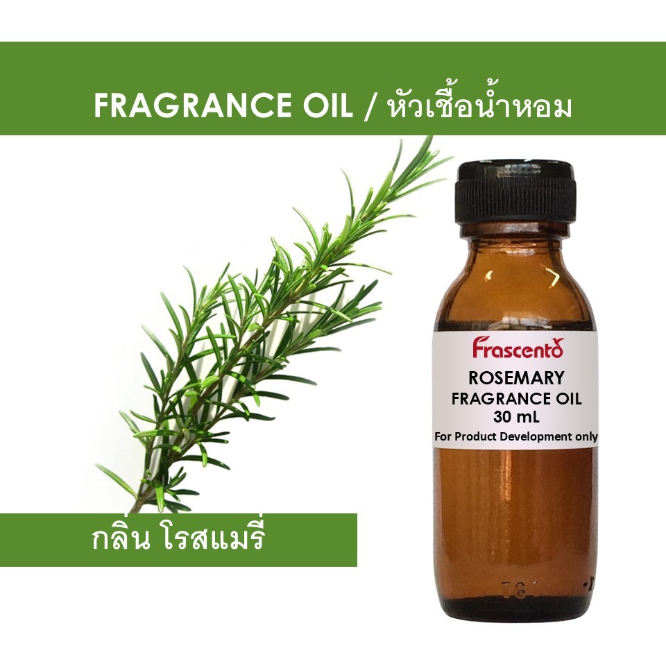 ROSEMARY FRAGRANCE OIL - หัวน้ำหอม กลิ่น โรสแมรี่ ไม่มีส่วนผสมแอลกอฮอล์ ห้ามรับประทาน