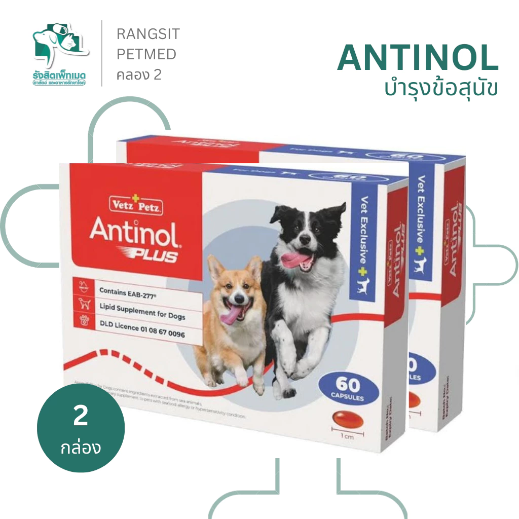 [2 กล่อง] Antinol Dog แอนทินอล อาหารเสริมสุนัข บำรุงข้อ ข้อต่อ ลดอักเสบ สกัดจากธรรมชาติ