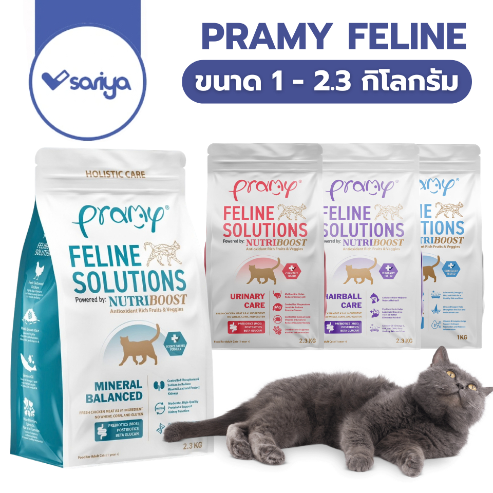 Pramy Feline Solutions อาหารแมวสูตรเฉพาะทาง พัฒนาโดยสัตวแพทย์ เหมาะกับแมวที่มีปัญหาสุขภาพ