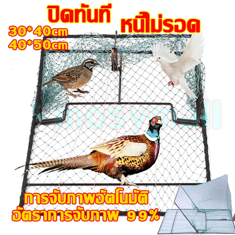 ที่ดักไก่ป่า กับดักไก่และกับดักนก กับดักไก่แบบตาข่าย กับดักไก่ สปริงคุณภาพสูง การจับไก่เป็ดหรือนกอย่างง่ายๆ