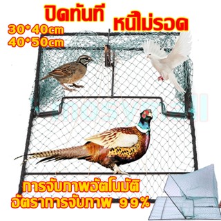 ที่ดักไก่ป่า กับดักไก่และกับดักนก กับดักไก่แบบตาข่าย ตาข่ายด…