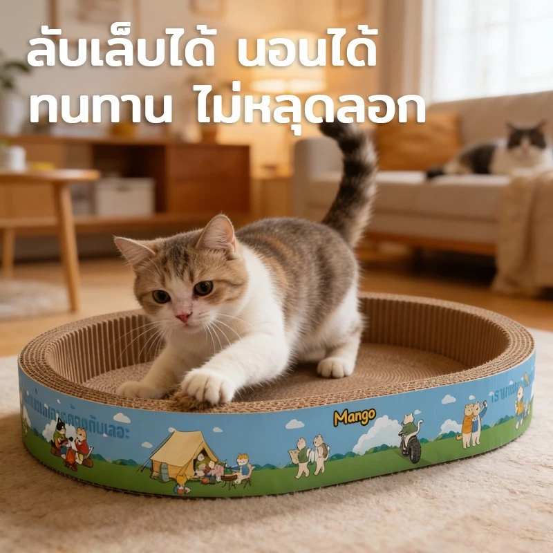 ที่ลับเล็บแมว 2in1 อ่างลับเล็บและที่นอนแมว thumbnail 4