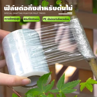 เทปพันกิ่งไม้ เทปยืดพันกิ่ง ฟิล์มพันของ ยาว 200 เมตร ฟิล์มใส เทปยืด ยืดได้อีกเท่าตัว สำหรับตอนกิ่ง ติดตา อุปกรณ์ตอนกิ่ง