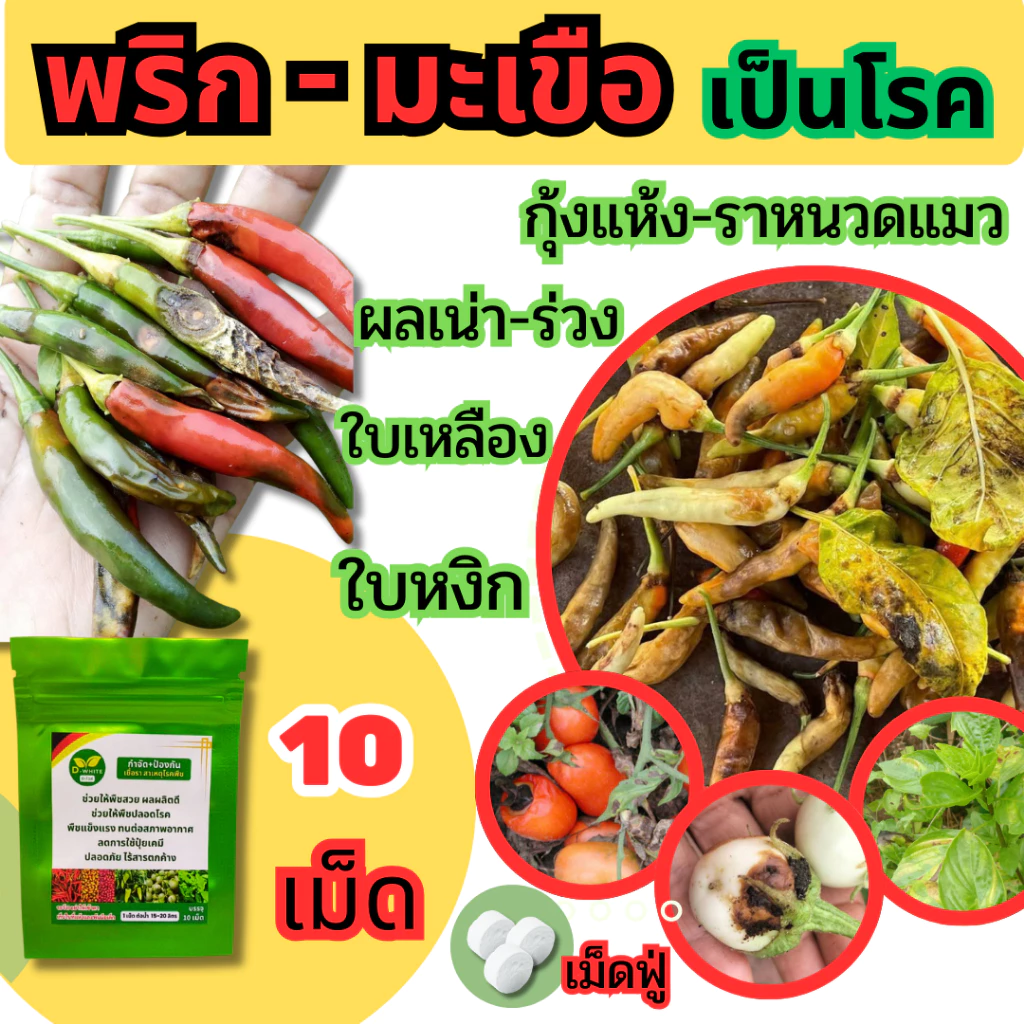 ดี-ไวท์ เม็ดฟู่เทพ กำจัดโรคพืช เชื้อรา แบคทีเรีย โรครากเน่า โคนเน่า โรคพืชทุกชนิด