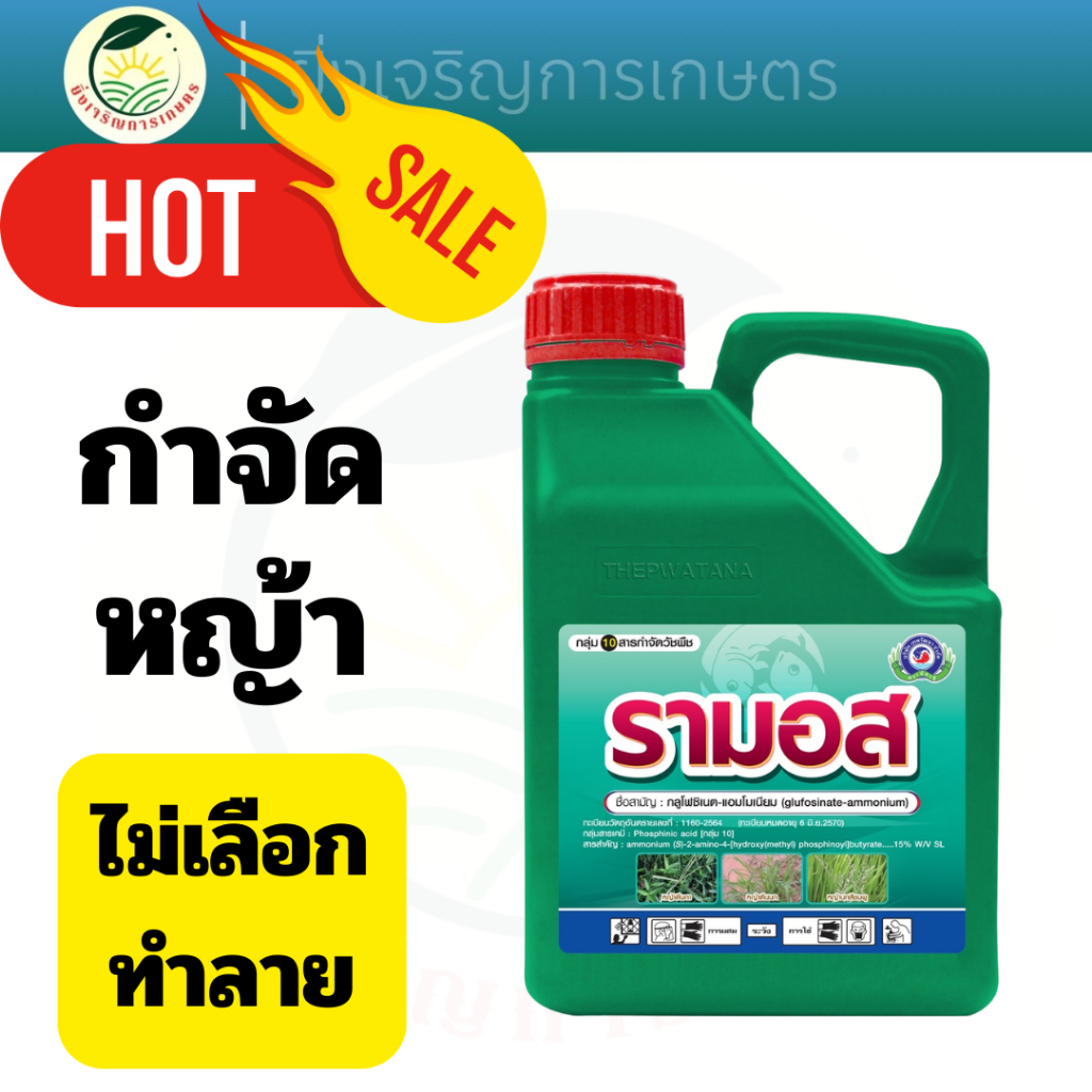 รามอส ขนาด 1 ลิตร & 4 ลิตร│เทพวัฒนา ตราปลาคู่│ยากำจัดหญ้า สารป้องกันกำจัดวัชพืช (หญ้าตีนกา หญ้าตีนนก หญ้าคา หญ้าแห้วหมู)