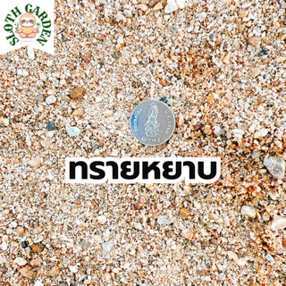 [ส่งเร็ว] ทรายแม่น้ำปิงแท้ 100% ทรายสีทองธรรมชาติ ล้างสะอาด เม็ดมนไม่คม สำหรับตู้ปลา แคคตัส จัดสวนถาด ไม้ประดับ