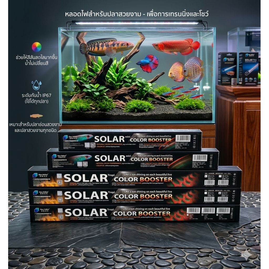 Solar color booster หลอดไฟสำหรับปลาสวยงาม