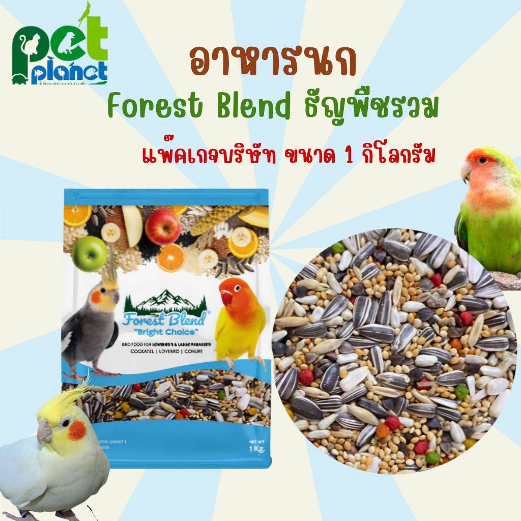 [1kg.] อาหารนก Forest Blend ธัญพืชรวมสำหรับ นก นกแก้ว ค็อกคาเทล เลิฟเบิร์ด กรีนชีค นกแก้วขนาดกลาง