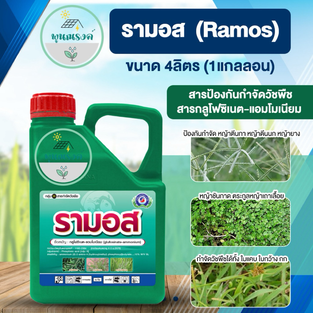 รามอส  (Ramos) ขนาด 4ลิตร (1แกลลอน) สารกำจัดศัตรูพืข สารกลูโฟซิเนต-แอมโมเนียม poonnarong พูนณรงค์