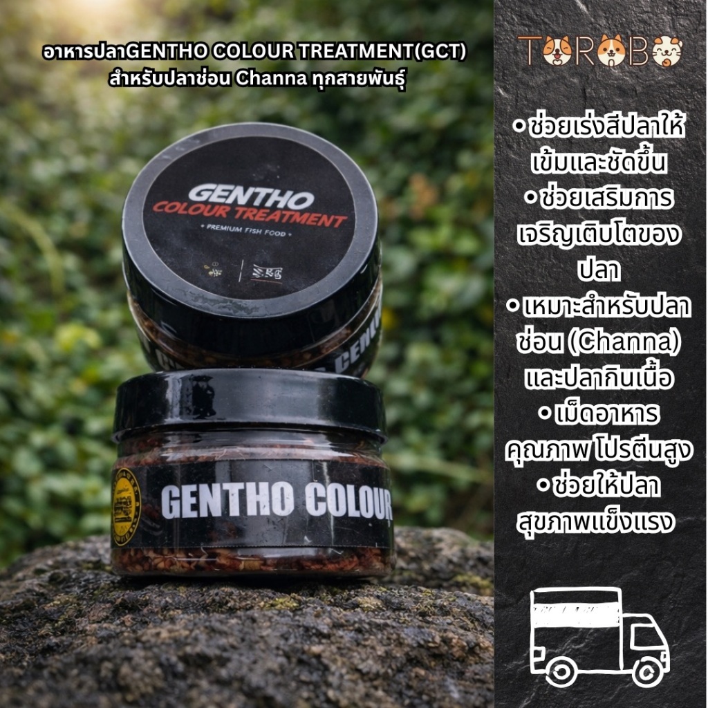 อาหารปลาGENTHO COLOUR TREATMENT (GCT) สำหรับปลาช่อน Channa ทุกสายพันธุ์🐟✨