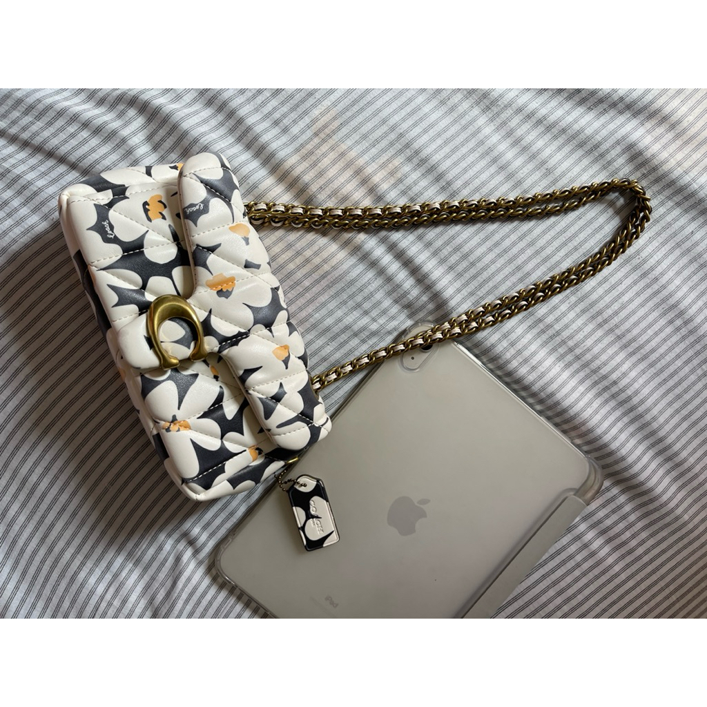 Coach tabby ❤️❤️❤️❤️❤️