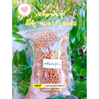 เมล็ดพันธุ์ถั่วพูใบไผ่บรรจุ30เมล็ด39บาทซื้อ2แถม1