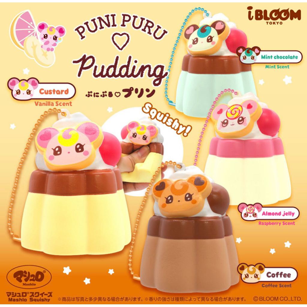 🌟สกุชชี่Ibloom Pudding🍮💕
