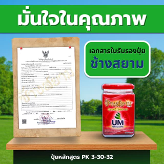 ปุ๋ยช้างสยาม 3 กระปุก ปุ๋ยหลัก สูตรปุ๋ยเร่งดอก 3-30-32