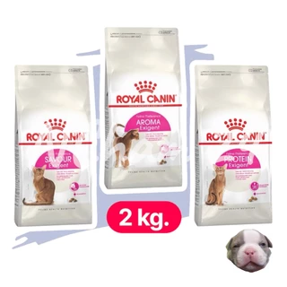 Royal Canin Exigent Aroma / Protein / Savour 2kg อาหารแมว สูตรแมวกินยาก 2 kg มี 3 แบบ
