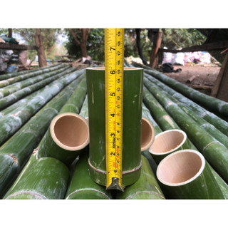 กระบอกไม้ไผ่ขนาด6นิ้ว(10ชิ้น)สำหรับทำแก้วน้ำแจกันและงานdiy