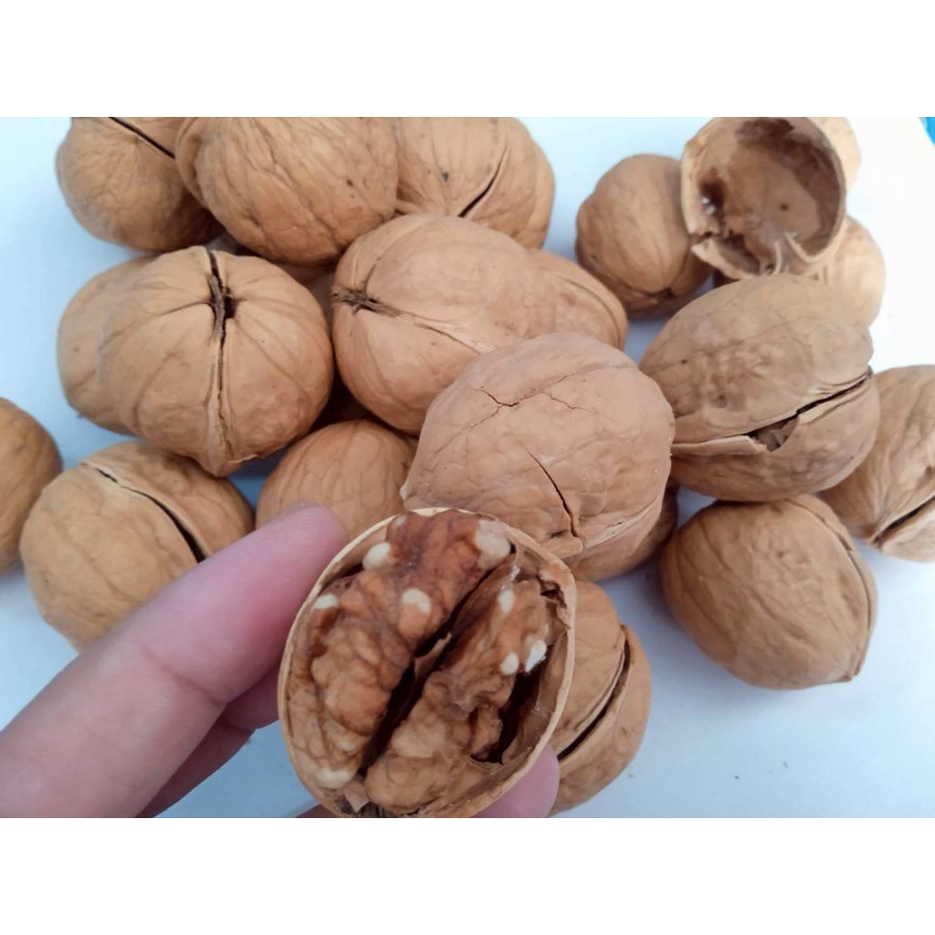 วอลนัท (Walnut)วอลนัทอบพร้อมทานหอมเนย ราคาส่งขนาด400กรัม