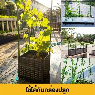 Keemart ไม้ค้ำต้นไม้ DIY เสาค้ำต้นไม้ โครงปลูกผัก กรอบปีนเขา ยาว90-150ซม หนา11มม เหล็กเคลือบพลาส ซุ้มไม้เลื้อย