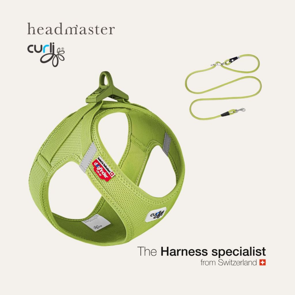 Set curli Clasp Air Mesh Vest Harness และสายจูง Vario ปรับความยาวได้ สายรัดอก สำหรับสุนัขและแมว
