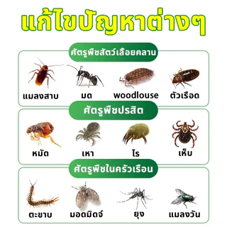 เจลหอมไล่แมลงสาบ TIA ไล่แมลงสาบ ไม่มีแมลงสาบ ซื้อ 1 แถม 1 สูตรเยอรมัน ปลอดภัยไร้สารพิษ