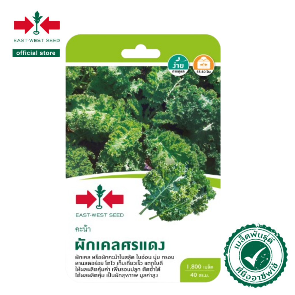 ศรแดง เมล็ดพันธุ์คะน้า ผักเคลศรแดง (East-West Seed) เมล็ดพันธุ์ ผักสวนครัว ตราศรแดง