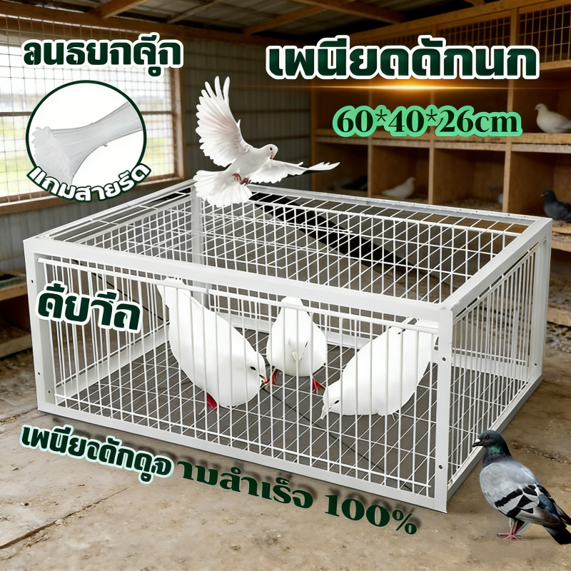 ขนาดใหญ่เพนียดดักนก กรงดักนก กรงกับดักนกพิราบ กรกดักนกเขา กรงนกพิราบ กรงนกทางเดียว