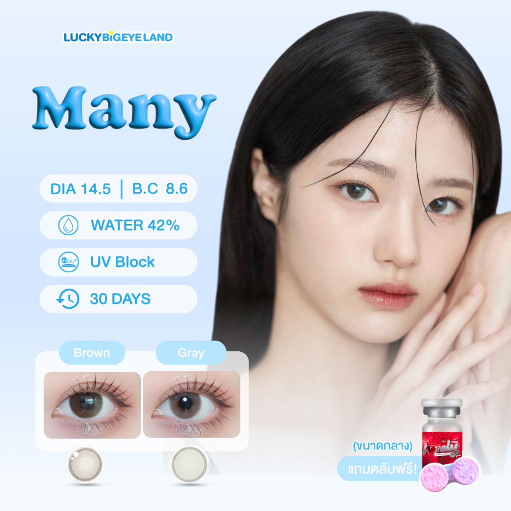คอนแทคเลนส์ Many Brown / Gray (Lovely Lens) ขนาดกลาง 💙