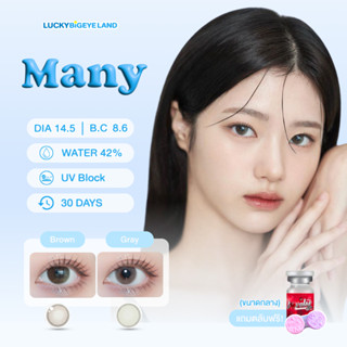 คอนแทคเลนส์ Many Brown / Gray (Lovely Lens) ขนาดกลาง 💙