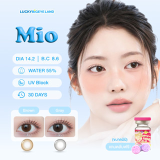 คอนแทคเลนส์ Mio Gray / Brown (Kitty Kawaii) ขนาดมินิ 💙
