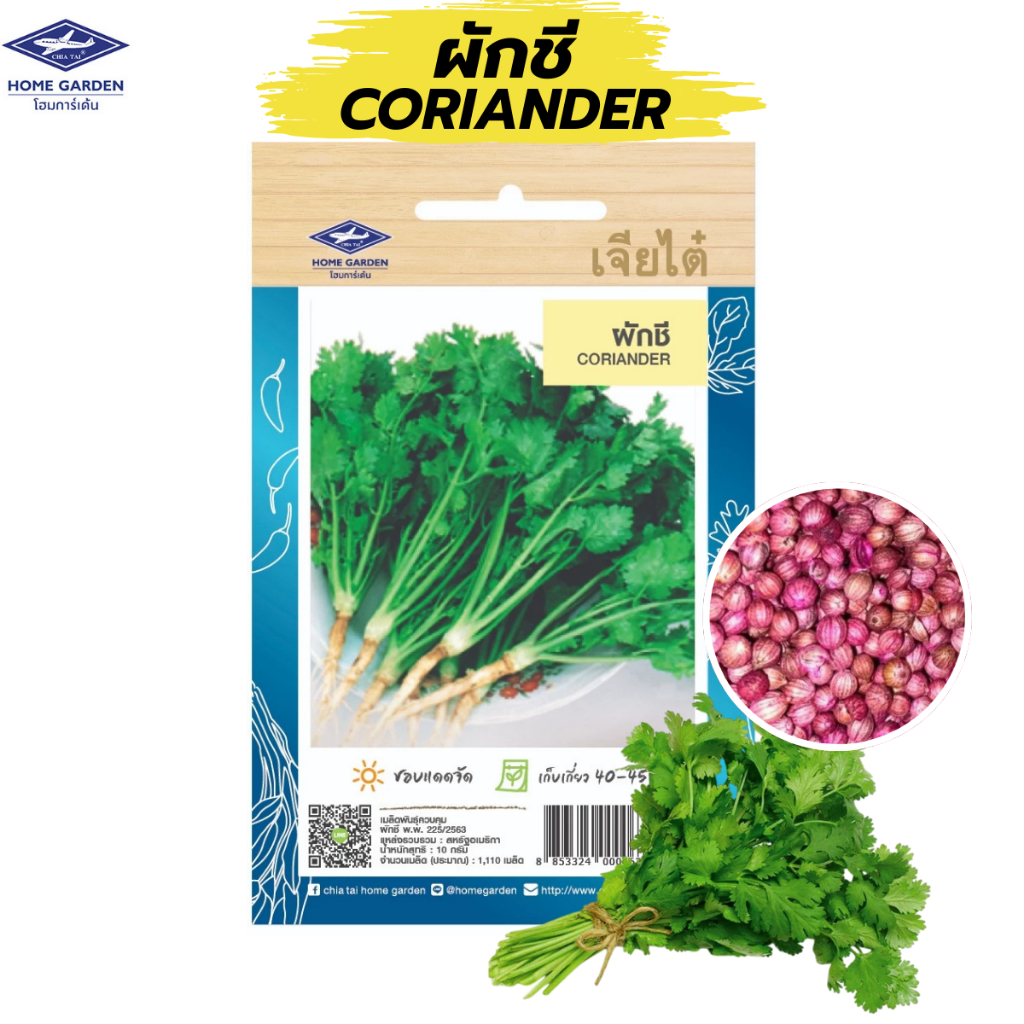 เมล็ดพันธุ์ผัก เจียไต๋ ผักชี (Coriander)