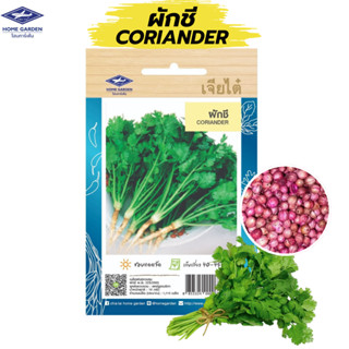 เมล็ดพันธุ์ผัก เจียไต๋ ผักชี (Coriander)