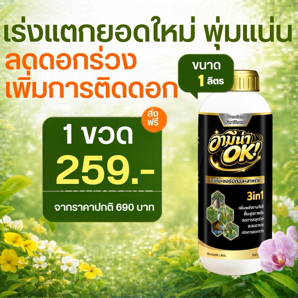 กุหลาบไม่พุ่ม ใบไม่เขียว ดอกไม่ใหญ่? ต้องลอง อามีน่า OK 3in1 ตัวช่วยคนรักกุหลาบ 1 ลิตร