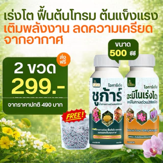 น้ำตาลทางด่วน ชูก้าร์ และ อะมิโนเร่งโต โตไว ใบสวย ต้นสมบูรณ์ ขวดละ500cc (1ชุด2 ขวด) แถมปุ๋ยเม็ด500g