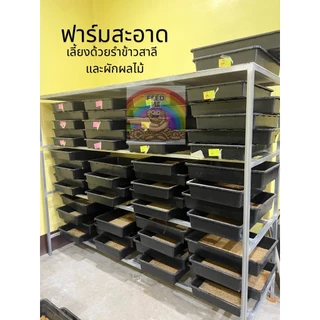 อาหารนก ชูก้า กระรอก ส่งทุกวัน มีประกันเคลมฟรี