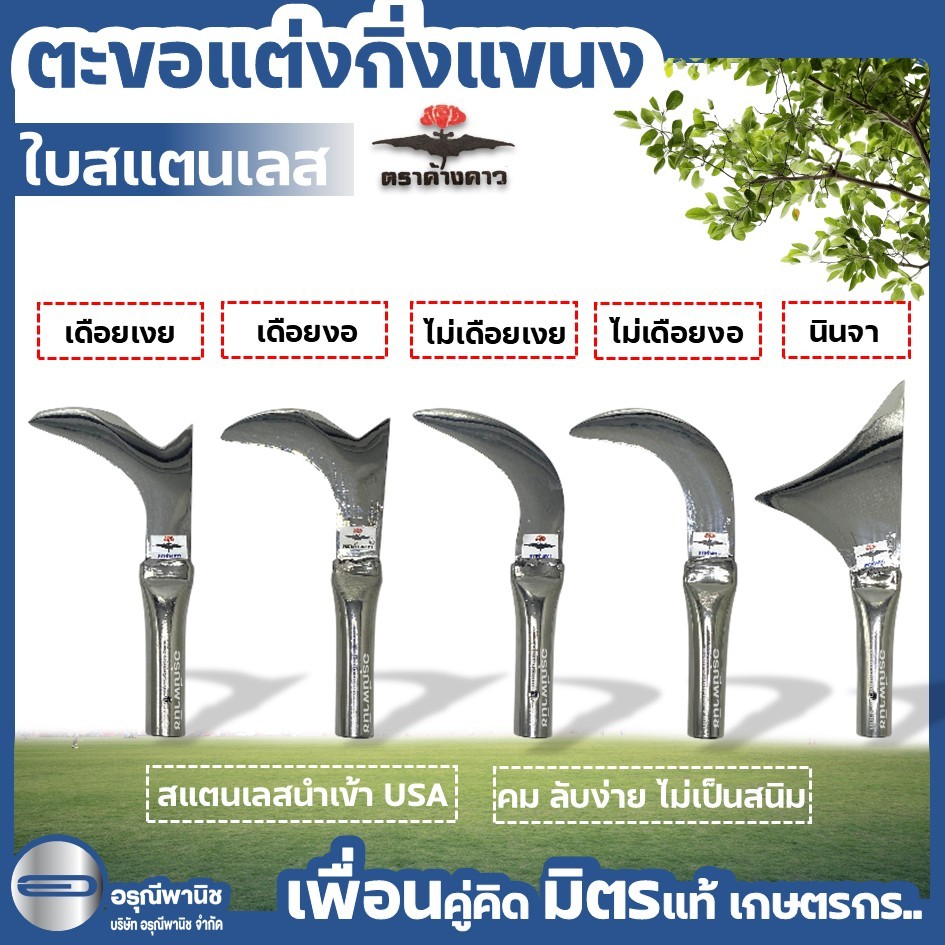 ตะขอแต่งกิ่งสแตนเลสตราค้างคาว ตะขอแต่งแขนง ตะขอเลส แต่งกิ่งทุเรียน