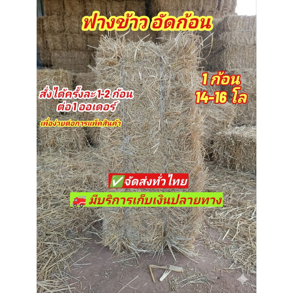 ฟางอัดก้อนแบ่งขาย 1 ก้อน หนัก10 กิโลขึ้น ส่งฟรี มีปลายทาง