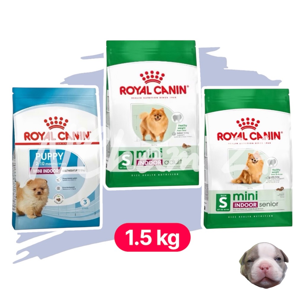 Royal canin MINI INDOOR 1.5 kg สูตรสำหรับสุนัขพันธุ์เล็กทุกสายพันธุ์และเลี้ยงในบ้าน