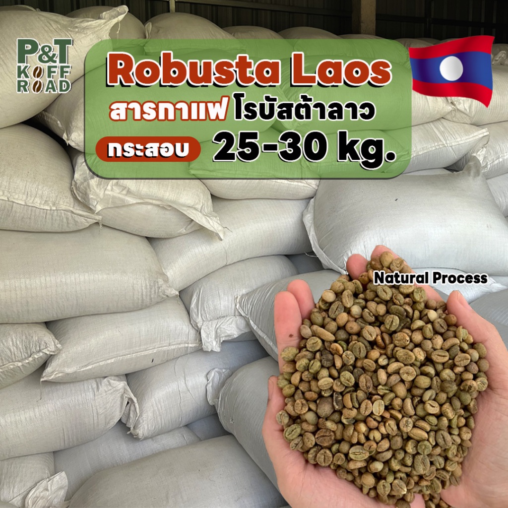 สารกาแฟโรบัสต้า ลาว Robusta Lao . Natural Process SC16  บรรจุ 25 kg -30 kg. P&T KoffRoad.