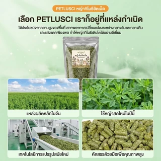 หญ้าอัดเม็ด อัลฟาฟ่าอัดเม็ดพรีเมียม Alfalfa 100% กระต่าย แพรี่ด็อก แกสบี้ ชินชิล่า เดกู เต่า 500กรัม