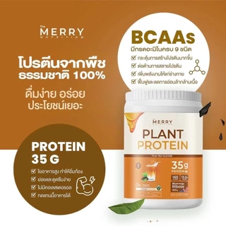Merry Plant Protein โปรตีนพืช 5 ชนิด : รส Thai Tea Flavor 1 กระปุก 2.3lb. / 1,050g. [ 20 Servings ]