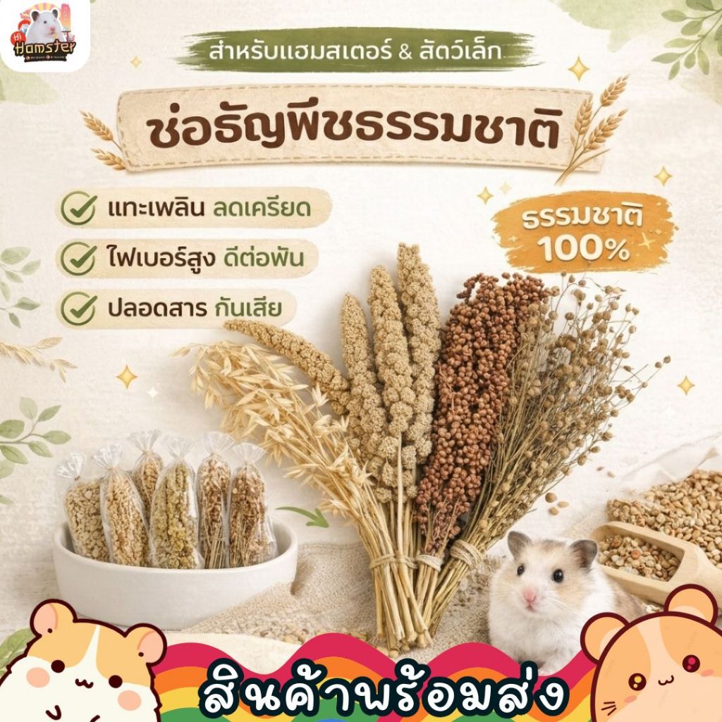 [HiHamster] มิลเล็ทช่อ ธัญพืช และดอกไม้แห้ง ขนาด60กรัม 200กรัม ช่อข้าวฟ่าง รวงข้าว แฟล็กซีด สำหรับแฮมเตอร์