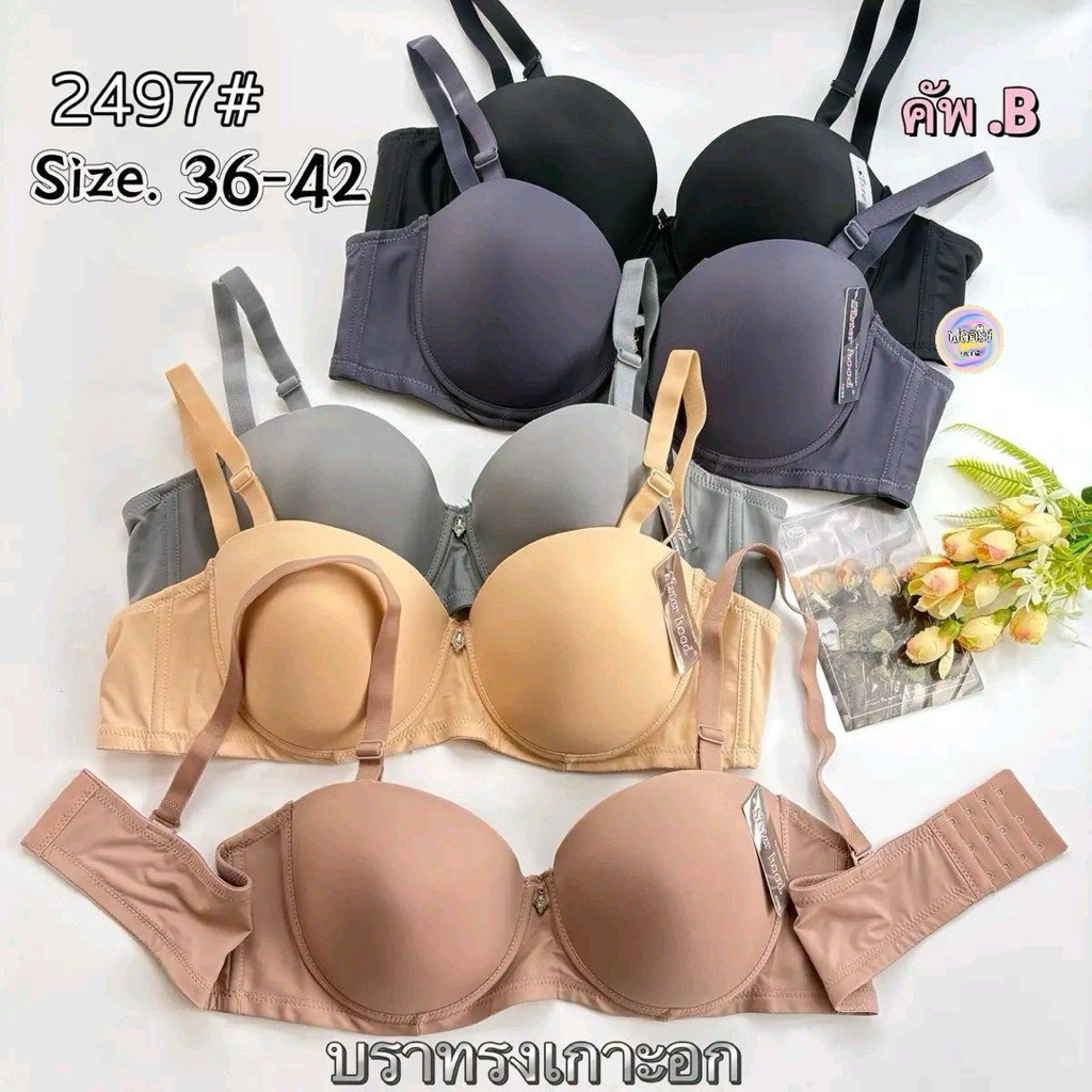 #2497 Size 36-42 คัพBSister hood