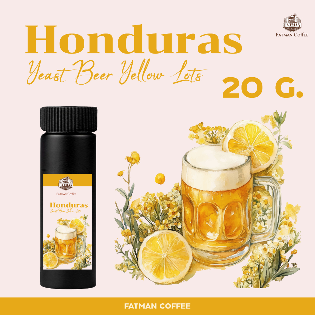 ขนาดพิเศษ เมล็ดกาแฟ Honduras Beer Yeast Yellow Lots