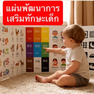 แผ่นพัฒนาการเด็ก เสริมทักษะเด็กแรกเกิด 0-12 เดือน