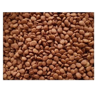 (4 kg.) Zoi cat อาหารแมวซอยแคท สำหรับแมวโต 1 ปีขึ้นไป ขนาด 1kg x จำนวน 4 ถุง